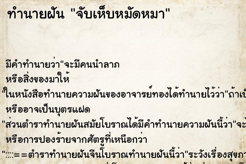 ทำนายฝัน จับเห็บหมัดหมา