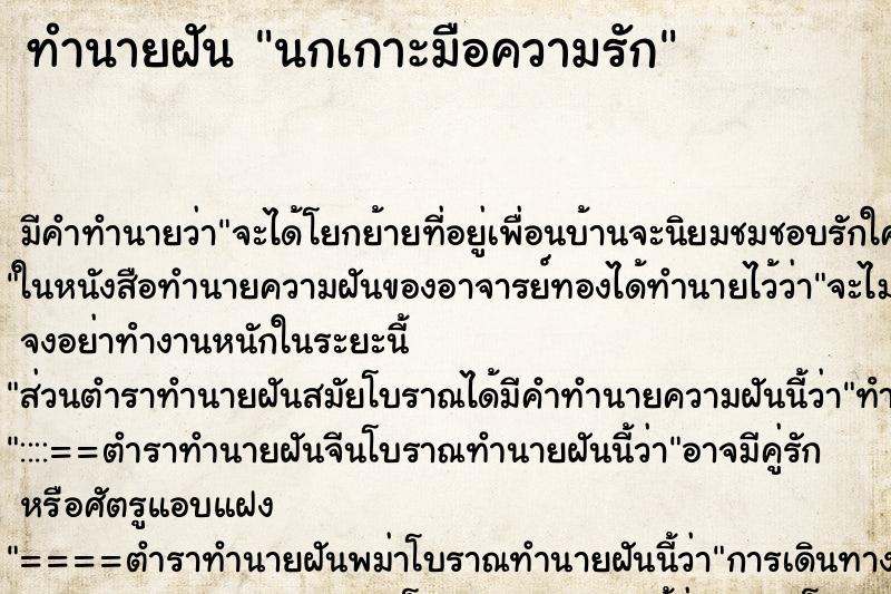 ทำนายฝันนกเกาะมือความรัก ทำนายฝันทำนายฝันนกเกาะมือความรัก