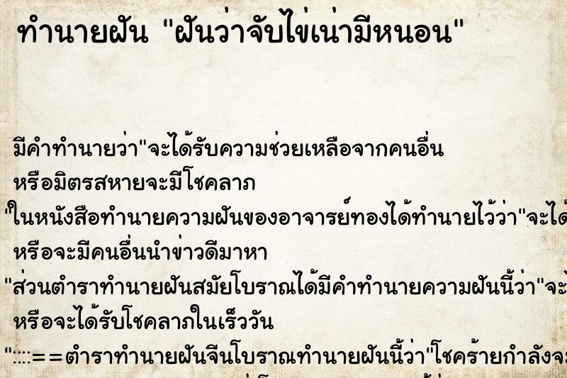 ทำนายฝันฝันว่าจับไข่เน่ามีหนอน ทำนายฝันทำนายฝันฝันว่าจับไข่เน่ามีหนอน