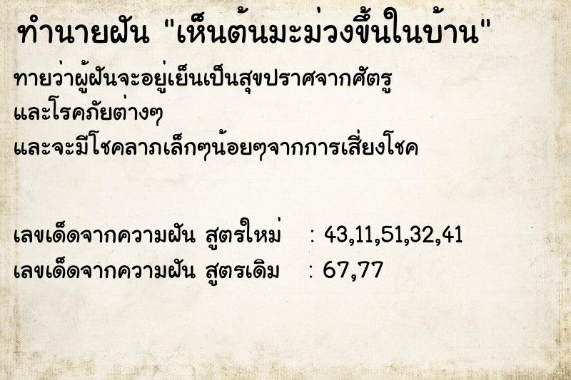 ทำนายฝันเห็นต้นมะม่วงขึ้นในบ้าน ทำนายฝันทำนายฝันเห็นต้นมะม่วงขึ้นในบ้าน