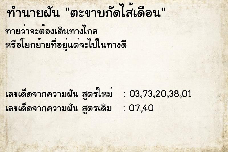 ทำนายฝัน ตะขาบกัดไส้เดือน