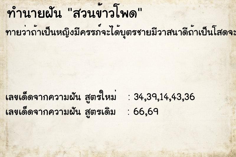 ทำนายฝันทำนายฝันสวนข้าวโพด