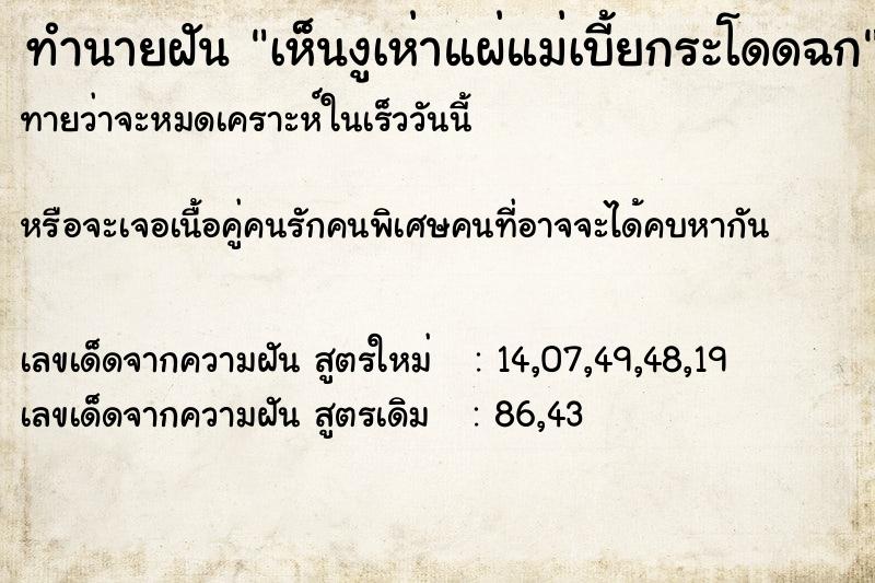 ทำนายฝันเห็นงูเห่าแผ่แม่เบี้ยกระโดดฉก ทำนายฝันทำนายฝันเห็นงูเห่าแผ่แม่เบี้ยกระโดดฉก