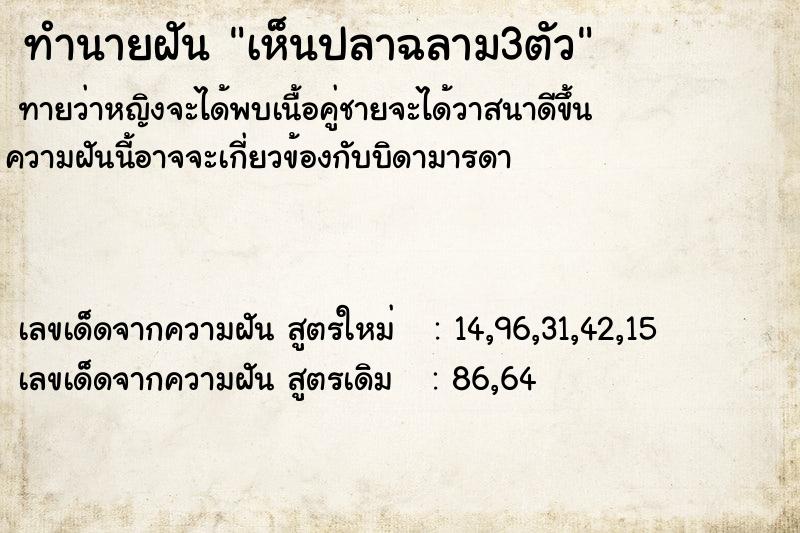 ทำนายฝัน เห็นปลาฉลาม3ตัว ทำนายฝัน เห็นปลาฉลาม3ตัว