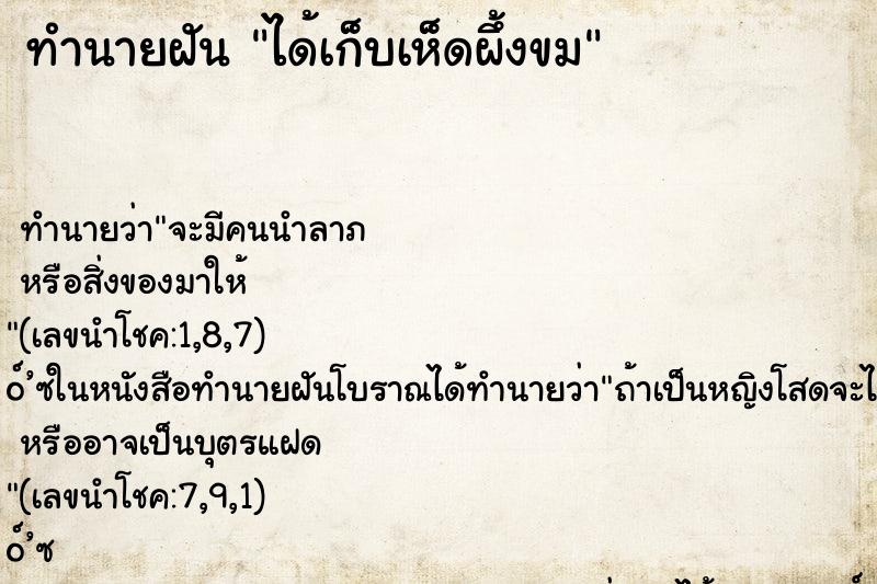 ทำนายฝันทำนายฝันได้เก็บเห็ดผึ้งขม