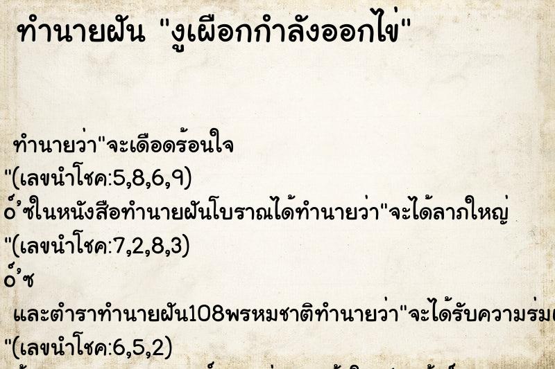 ทำนายฝัน งูเผือกกำลังออกไข่