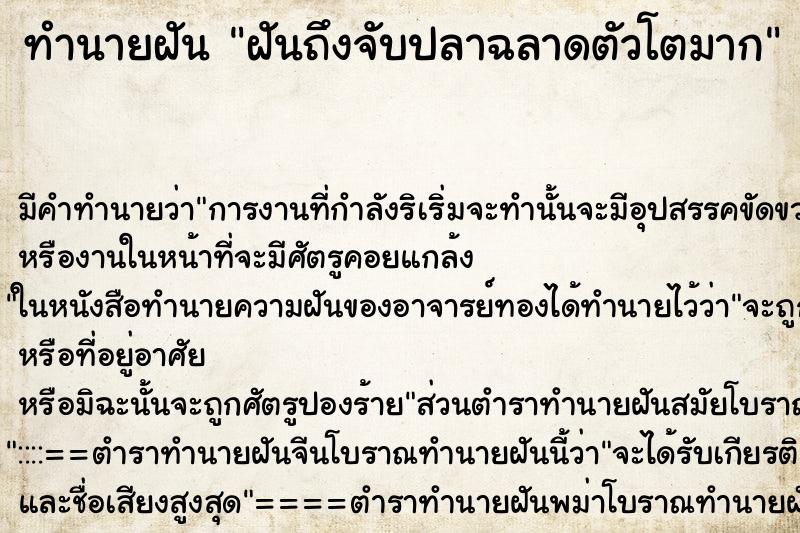 ทำนายฝัน ฝันถึงจับปลาฉลาดตัวโตมาก ทำนายฝัน ฝันถึงจับปลาฉลาดตัวโตมาก
