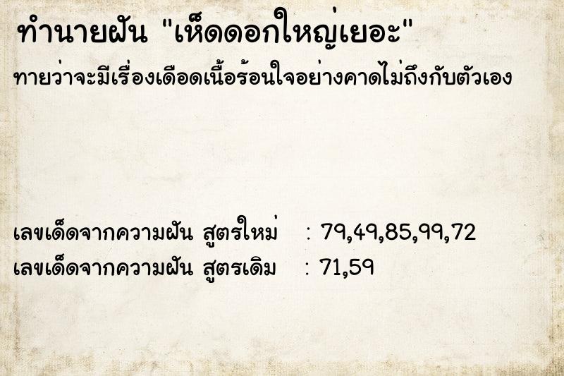 ทำนายฝันเห็ดดอกใหญ่เยอะ ทำนายฝันทำนายฝันเห็ดดอกใหญ่เยอะ