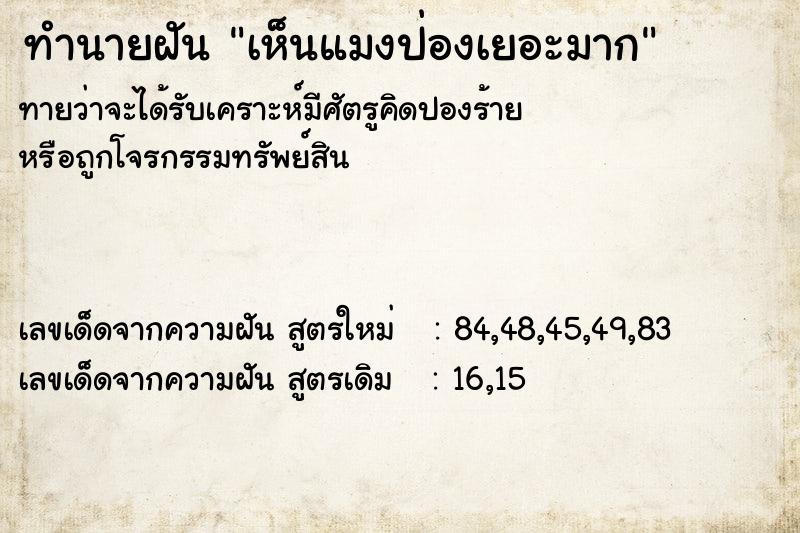 ทำนายฝันทำนายฝันเห็นแมงป่องเยอะมาก
