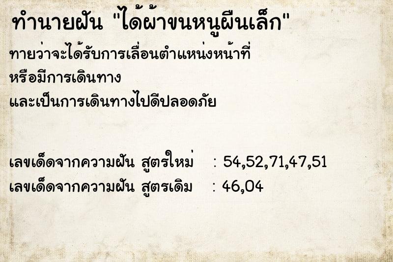 ทำนายฝันทำนายฝันได้ผ้าขนหนูผืนเล็ก