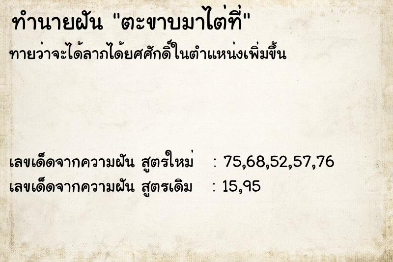 ทำนายฝันตะขาบมาไต่ที่ ทำนายฝันทำนายฝันตะขาบมาไต่ที่