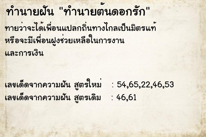 ทำนายฝันทำนายต้นดอกรัก ทำนายฝันทำนายฝันทำนายต้นดอกรัก