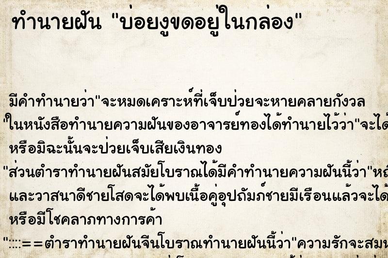 ทำนายฝันบ่อยงูขดอยู่ในกล่อง ทำนายฝันทำนายฝันบ่อยงูขดอยู่ในกล่อง