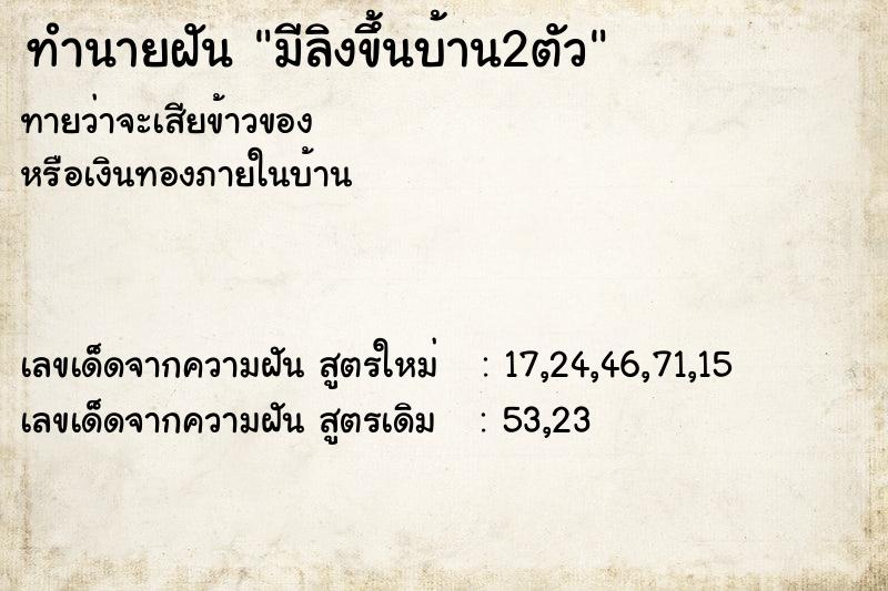 ทำนายฝัน มีลิงขึ้นบ้าน2ตัว ทำนายฝัน มีลิงขึ้นบ้าน2ตัว