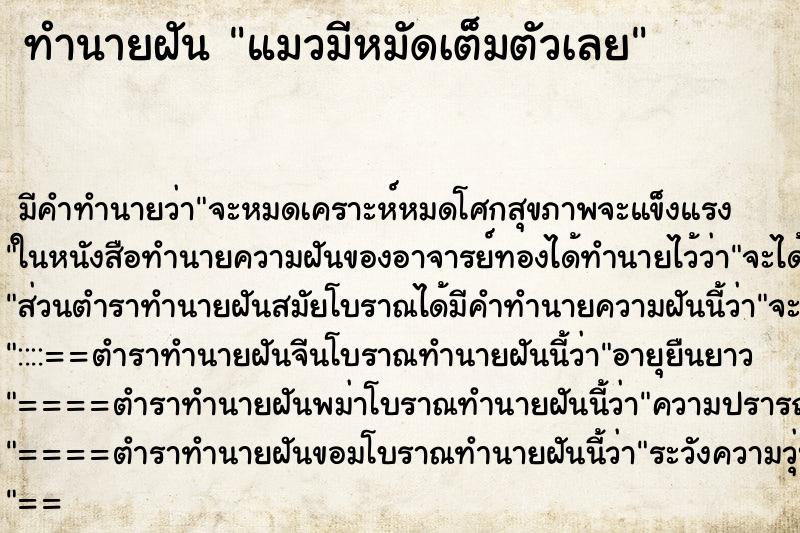 ทำนายฝัน แมวมีหมัดเต็มตัวเลย ตำราโบราณ แม่นที่สุดในโลก