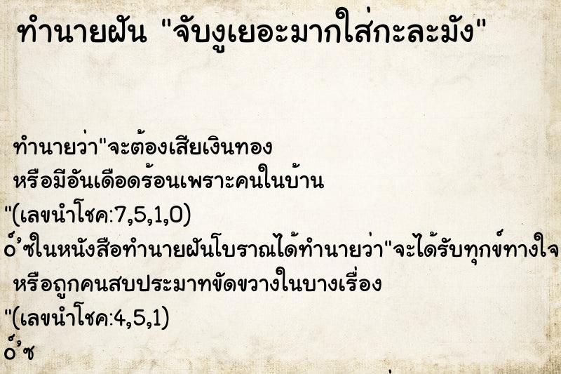 ทำนายฝันจับงูเยอะมากใส่กะละมัง ทำนายฝันทำนายฝันจับงูเยอะมากใส่กะละมัง