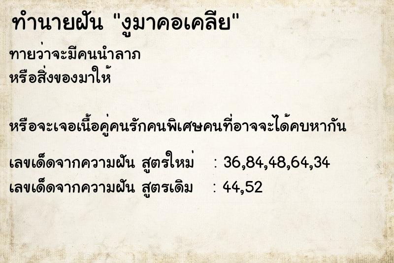 ทำนายฝันงูมาคอเคลีย ทำนายฝันทำนายฝันงูมาคอเคลีย