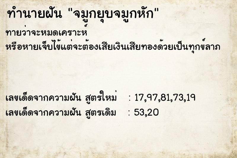 ทำนายฝันจมูกยุบจมูกหัก ทำนายฝันทำนายฝันจมูกยุบจมูกหัก