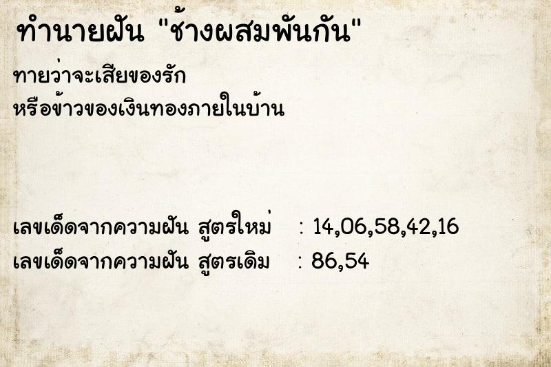 ทำนายฝัน ช้างผสมพันกัน ทำนายฝัน ช้างผสมพันกัน