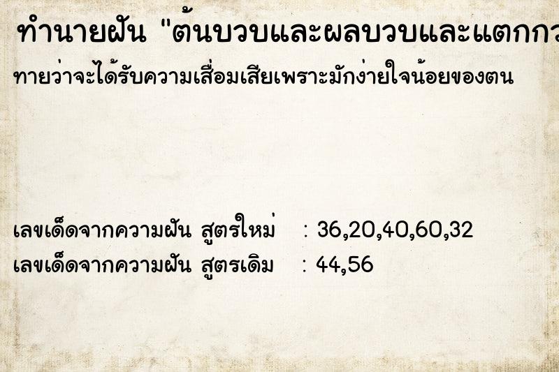 ทำนายฝันต้นบวบและผลบวบและแตกกวา ทำนายฝันทำนายฝันต้นบวบและผลบวบและแตกกวา
