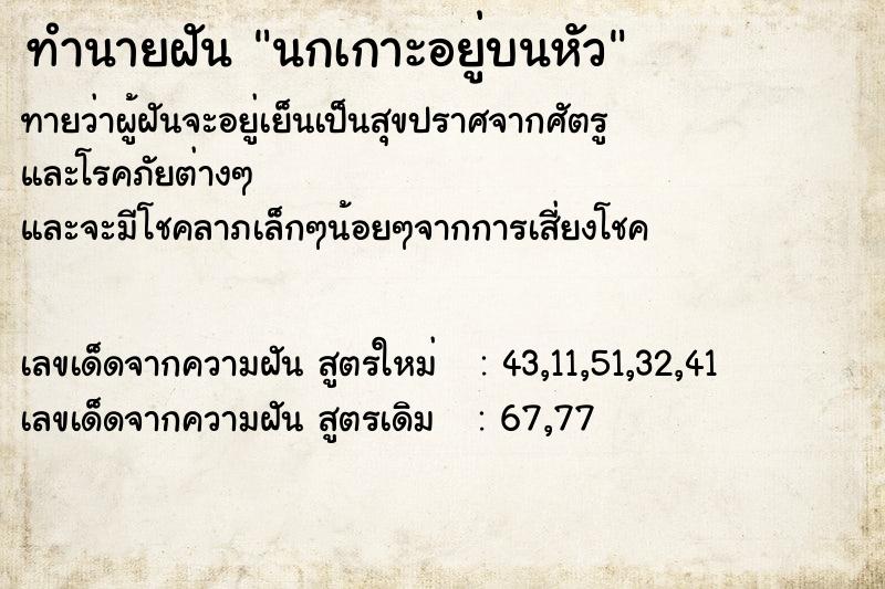 ทำนายฝัน นกเกาะอยู่บนหัว