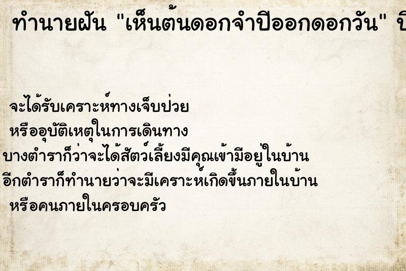 ทำนายฝันเห็นต้นดอกจำปีออกดอกวัน ทำนายฝันทำนายฝันเห็นต้นดอกจำปีออกดอกวัน