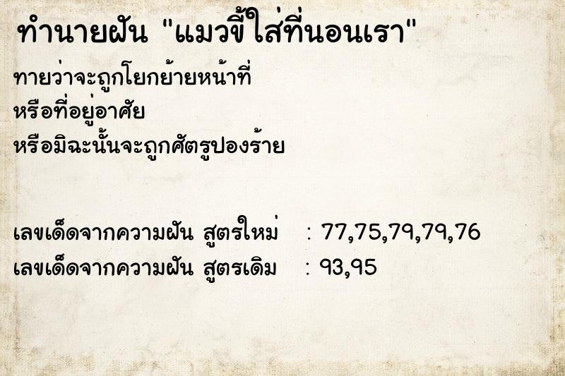 ทำนายฝันแมวขี้ใส่ที่นอนเรา ทำนายฝันทำนายฝันแมวขี้ใส่ที่นอนเรา