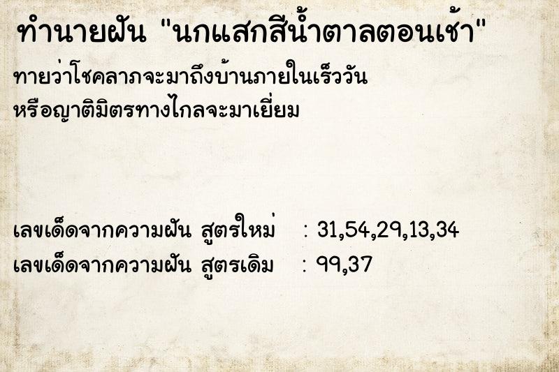 ทำนายฝัน นกแสกสีน้ำตาลตอนเช้า ทำนายฝัน นกแสกสีน้ำตาลตอนเช้า
