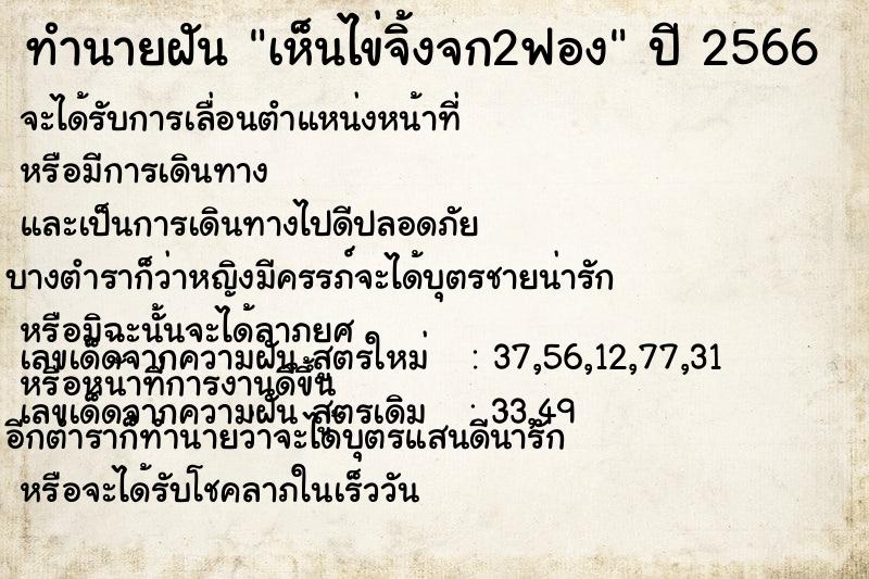 ทำนายฝัน เห็นไข่จิ้งจก2ฟอง ทำนายฝัน เห็นไข่จิ้งจก2ฟอง