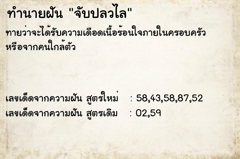 ทำนายฝันจับปลวไล ทำนายฝันทำนายฝันจับปลวไล