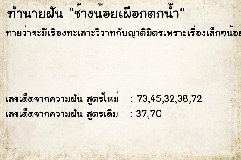 ทำนายฝันช้างน้อยเผือกตกน้ำ ทำนายฝันทำนายฝันช้างน้อยเผือกตกน้ำ