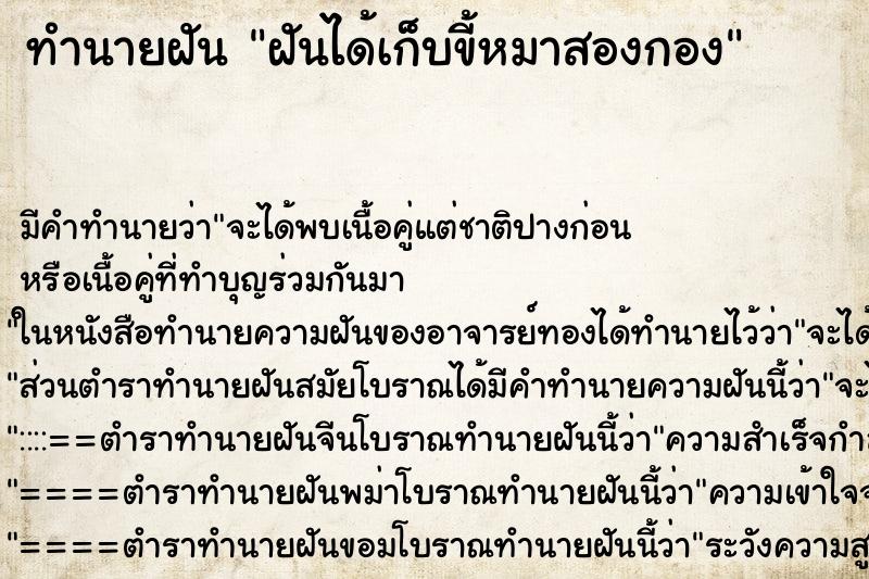 ทำนายฝันฝันได้เก็บขี้หมาสองกอง ทำนายฝันทำนายฝันฝันได้เก็บขี้หมาสองกอง