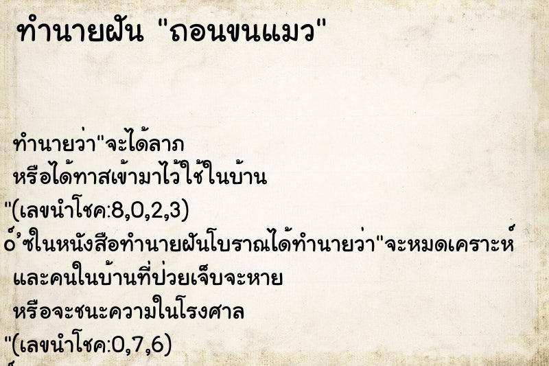 ทำนายฝัน ถอนขนแมว ทำนายฝัน ถอนขนแมว