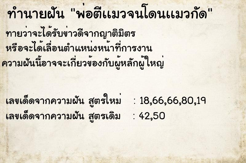ทำนายฝันทำนายฝันพ่อตีเเมวจนโดนเเมวกัด