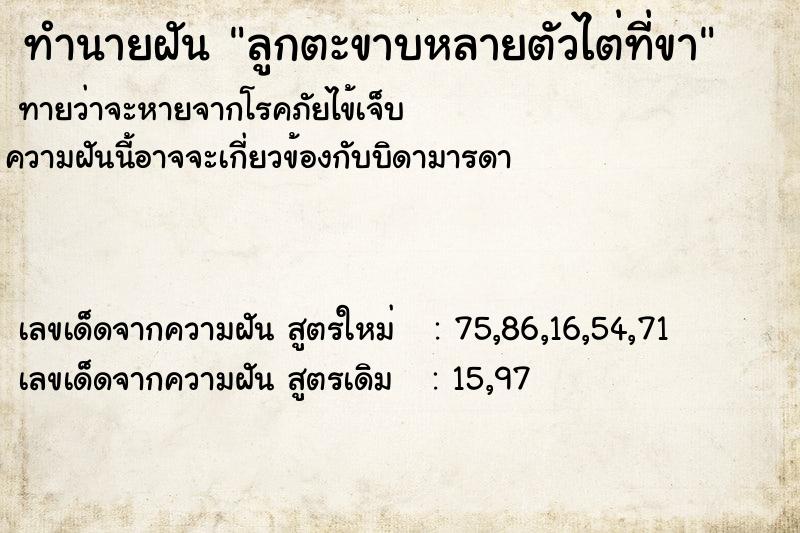 ทำนายฝันลูกตะขาบหลายตัวไต่ที่ขา ทำนายฝันทำนายฝันลูกตะขาบหลายตัวไต่ที่ขา