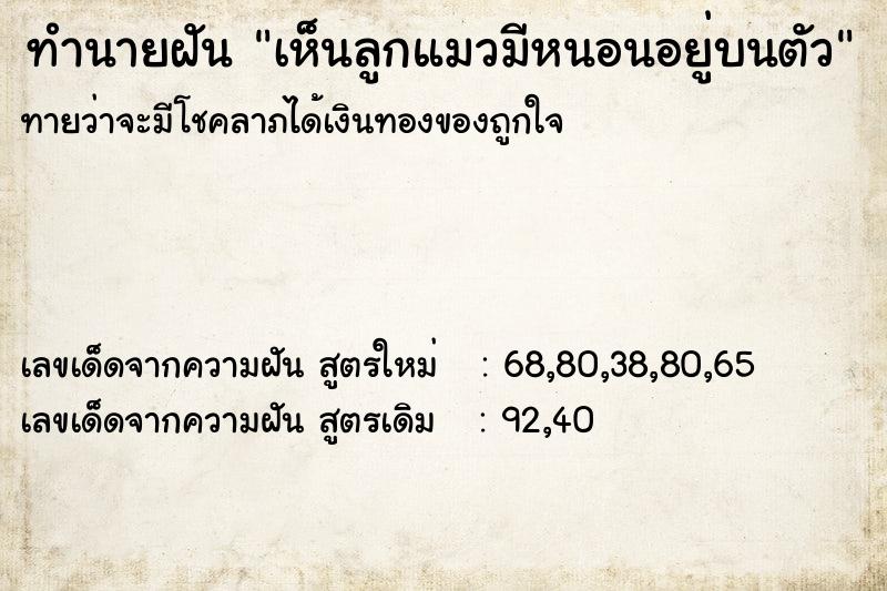 ทำนายฝัน เห็นลูกแมวมีหนอนอยู่บนตัว ทำนายฝัน เห็นลูกแมวมีหนอนอยู่บนตัว