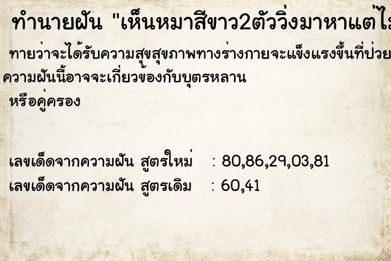 ทำนายฝัน เห็นหมาสีขาว2ตัววิ่งมาหาแต่ไม่กัด ทำนายฝัน เห็นหมาสีขาว2ตัววิ่งมาหาแต่ไม่กัด