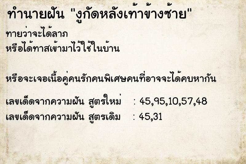 ทำนายฝันงูกัดหลังเท้าข้างซ้าย ทำนายฝันทำนายฝันงูกัดหลังเท้าข้างซ้าย