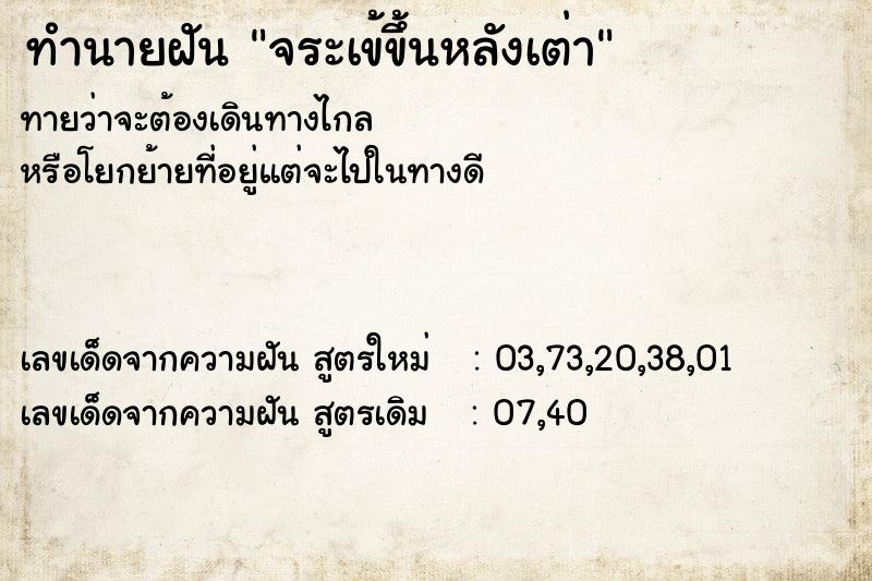 ทำนายฝันจระเข้ขึ้นหลังเต่า ทำนายฝันทำนายฝันจระเข้ขึ้นหลังเต่า