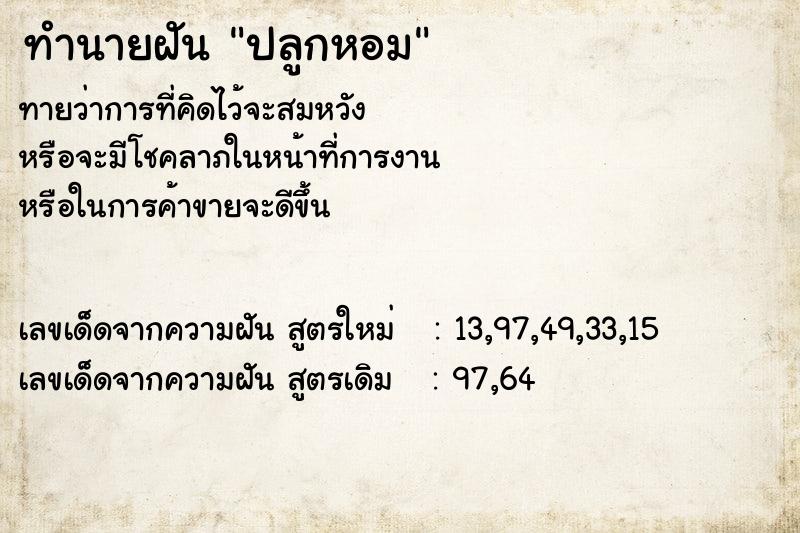ทำนายฝันทำนายฝันปลูกหอม