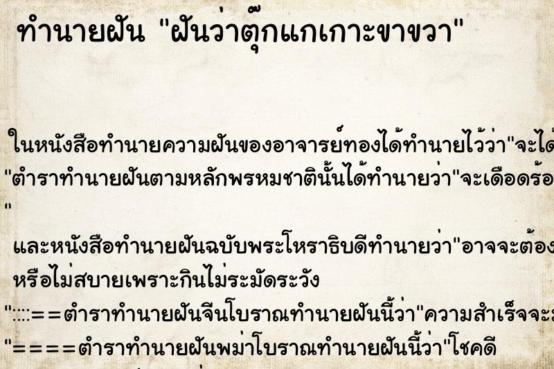 ทำนายฝัน ฝันว่าตุ๊กแกเกาะขาขวา