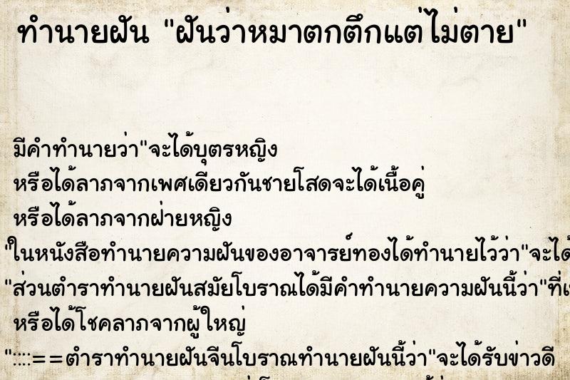 ทำนายฝัน ฝันว่าหมาตกตึกแต่ไม่ตาย ทำนายฝัน ฝันว่าหมาตกตึกแต่ไม่ตาย