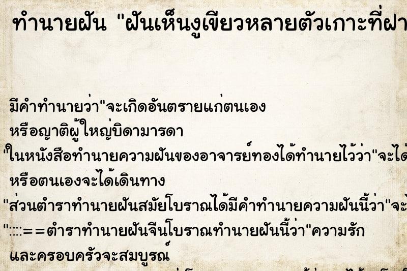 ทำนายฝันทำนายฝันฝันเห็นงูเขียวหลายตัวเกาะที่ฝาผนังบ้าน