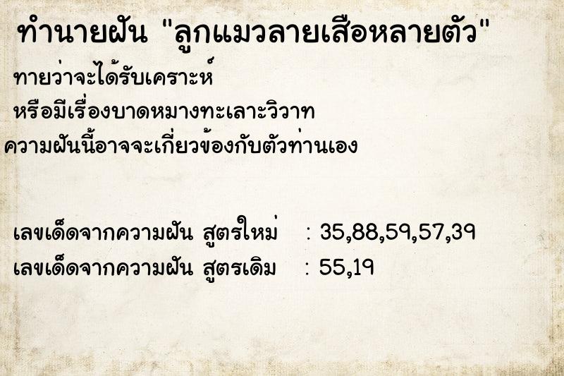 ทำนายฝันทำนายฝันลูกแมวลายเสือหลายตัว