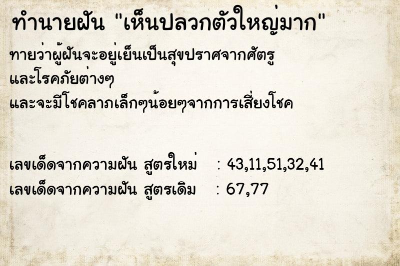 ทำนายฝันทำนายฝันเห็นปลวกตัวใหญ่มาก