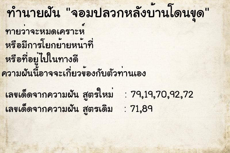 ทำนายฝันทำนายฝันจอมปลวกหลังบ้านโดนขุด