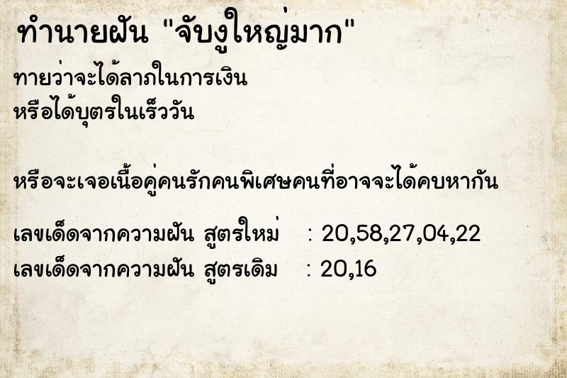 ทำนายฝันจับงูใหญ่มาก ทำนายฝันทำนายฝันจับงูใหญ่มาก