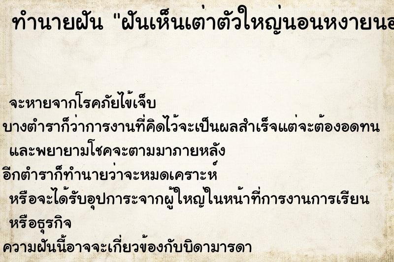 ทำนายฝันฝันเห็นเต่าตัวใหญ่นอนหงายนอนคว่ำ ทำนายฝันทำนายฝันฝันเห็นเต่าตัวใหญ่นอนหงายนอนคว่ำ