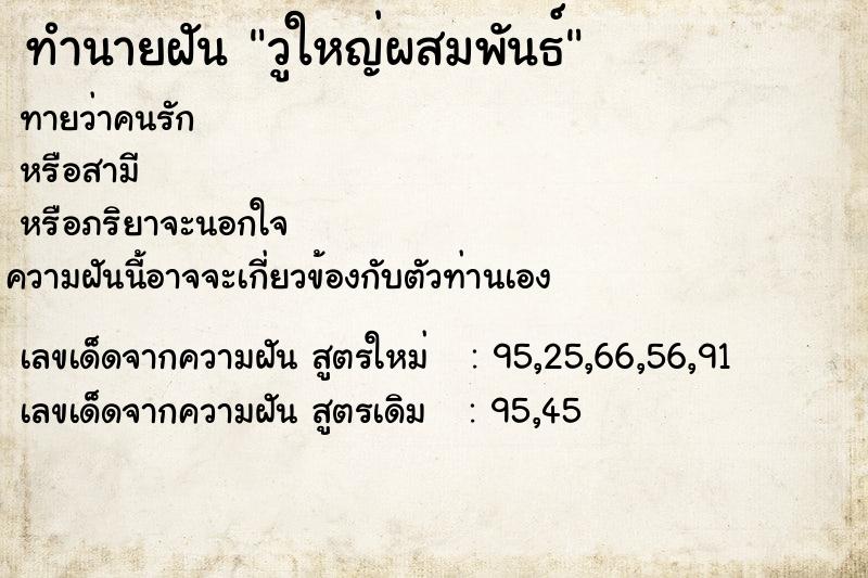 ทำนายฝันทำนายฝันวูใหญ่ผสมพันธ์