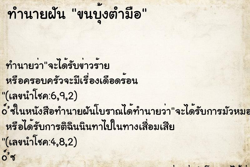 ทำนายฝันขนบุ้งตำมือ ทำนายฝันทำนายฝันขนบุ้งตำมือ